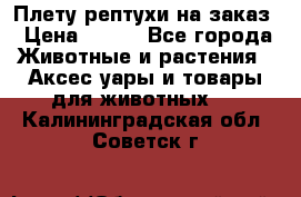 Плету рептухи на заказ › Цена ­ 450 - Все города Животные и растения » Аксесcуары и товары для животных   . Калининградская обл.,Советск г.